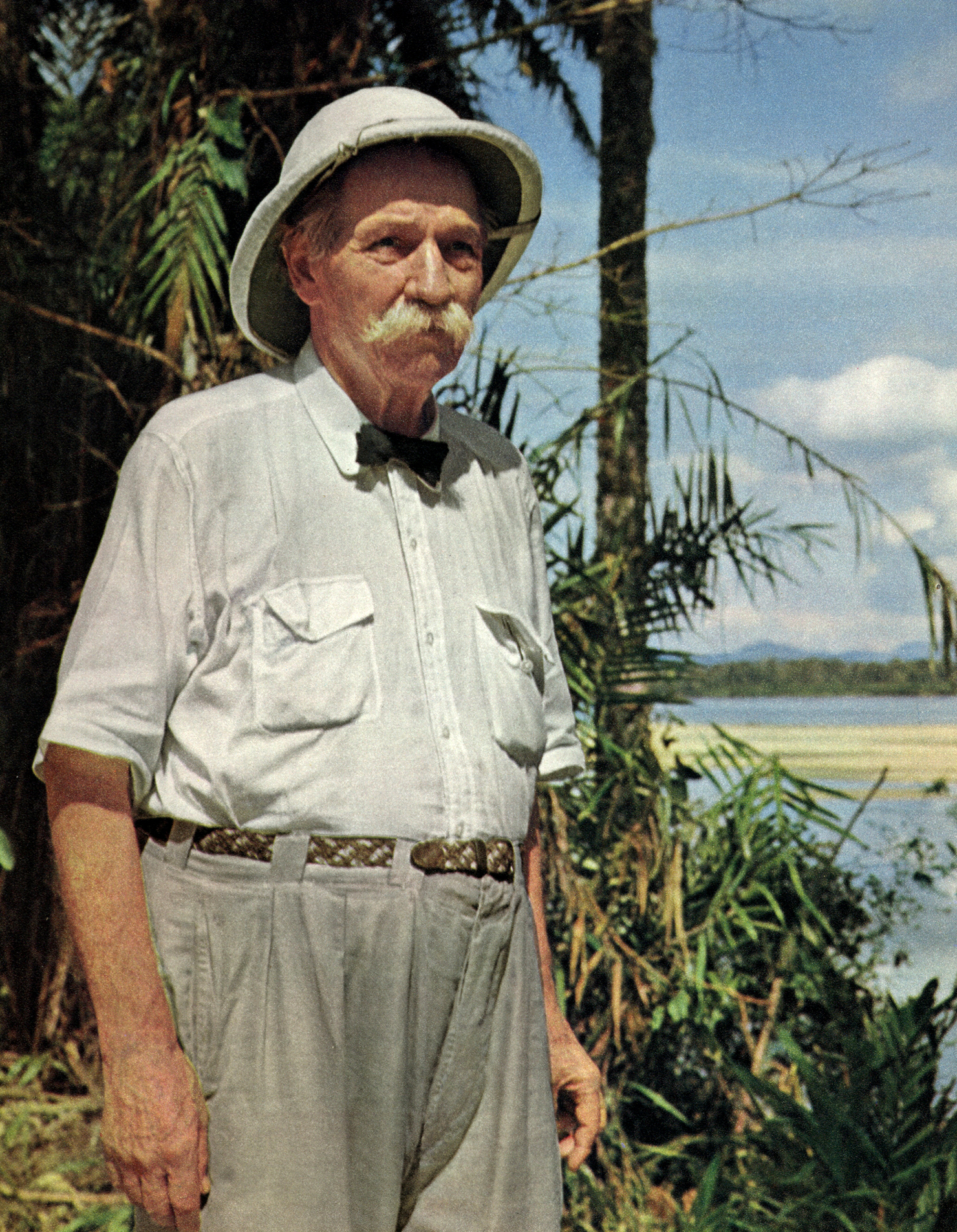 as-palmen.jpg as-palmen